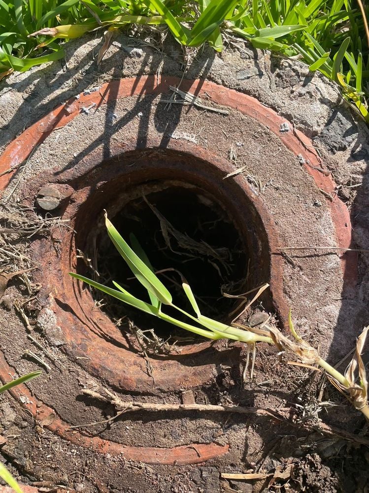 2d27edcddc6d74df15343a45c767a62c.JPG 2d27edcddc6d74df15343a45c767a62c.JPG