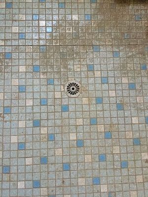 IMG_3505.JPG IMG_3505.JPG