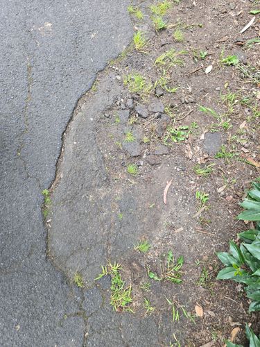 1000059791.jpg 1000059791.jpg