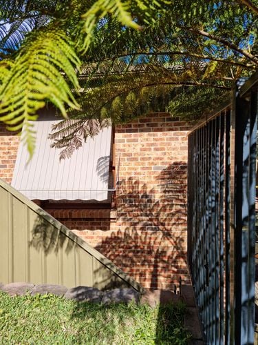 1000010773.jpg 1000010773.jpg