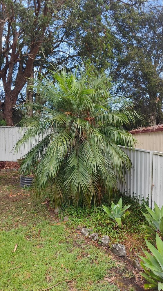 IMG20260104091831.jpg IMG20260104091831.jpg