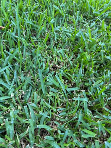 IMG_4316.jpeg IMG_4316.jpeg