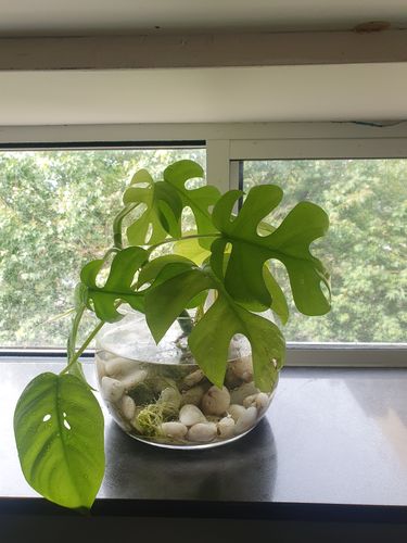 20220108_091834.jpg 20220108_091834.jpg