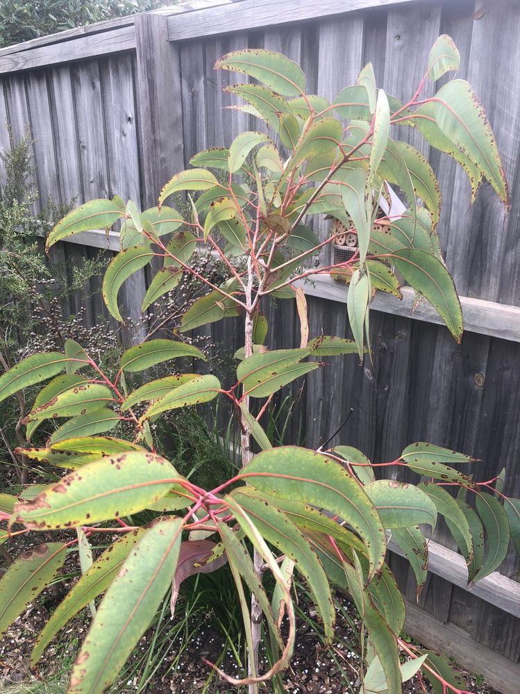 unnamed-2.jpg unnamed-2.jpg