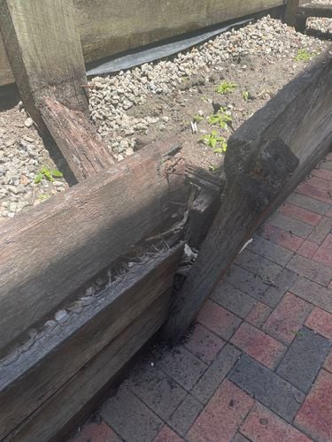 IMG_0907.jpeg IMG_0907.jpeg