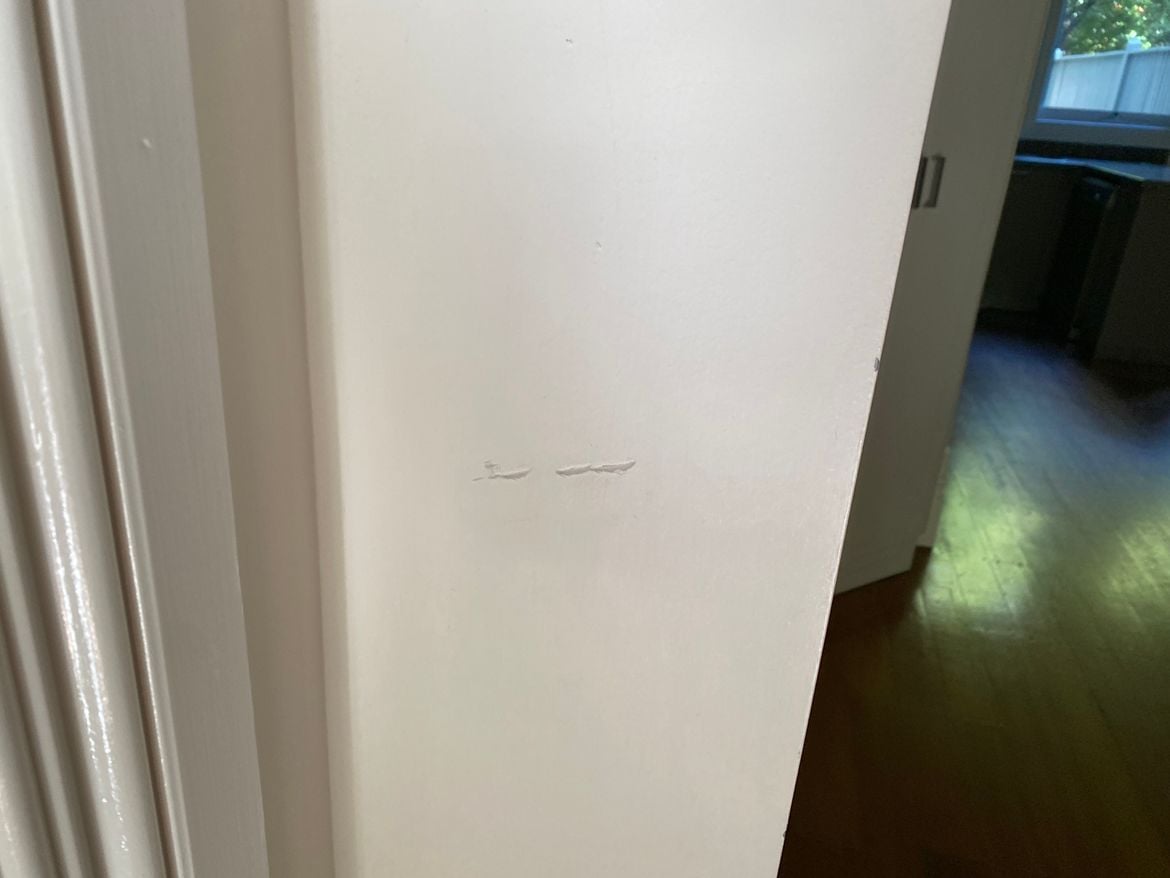 IMG_1236.JPG IMG_1236.JPG