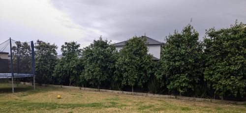 1000005423.jpg 1000005423.jpg