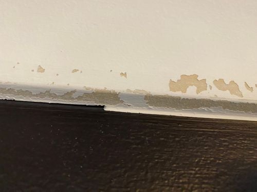 IMG_1324.jpeg IMG_1324.jpeg