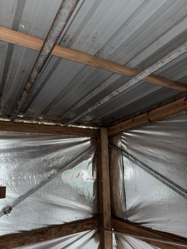 IMG_0495.jpeg IMG_0495.jpeg