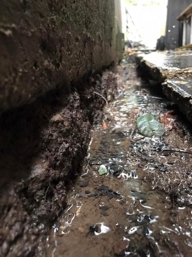 52 03-07-2022.jpg 52 03-07-2022.jpg