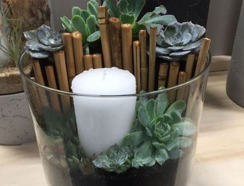 59868968-2F3D-4009-A653-BCFDDDF235E0 (3).jpeg 59868968-2F3D-4009-A653-BCFDDDF235E0 (3).jpeg