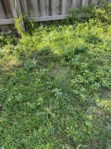 IMG_3974.jpeg IMG_3974.jpeg