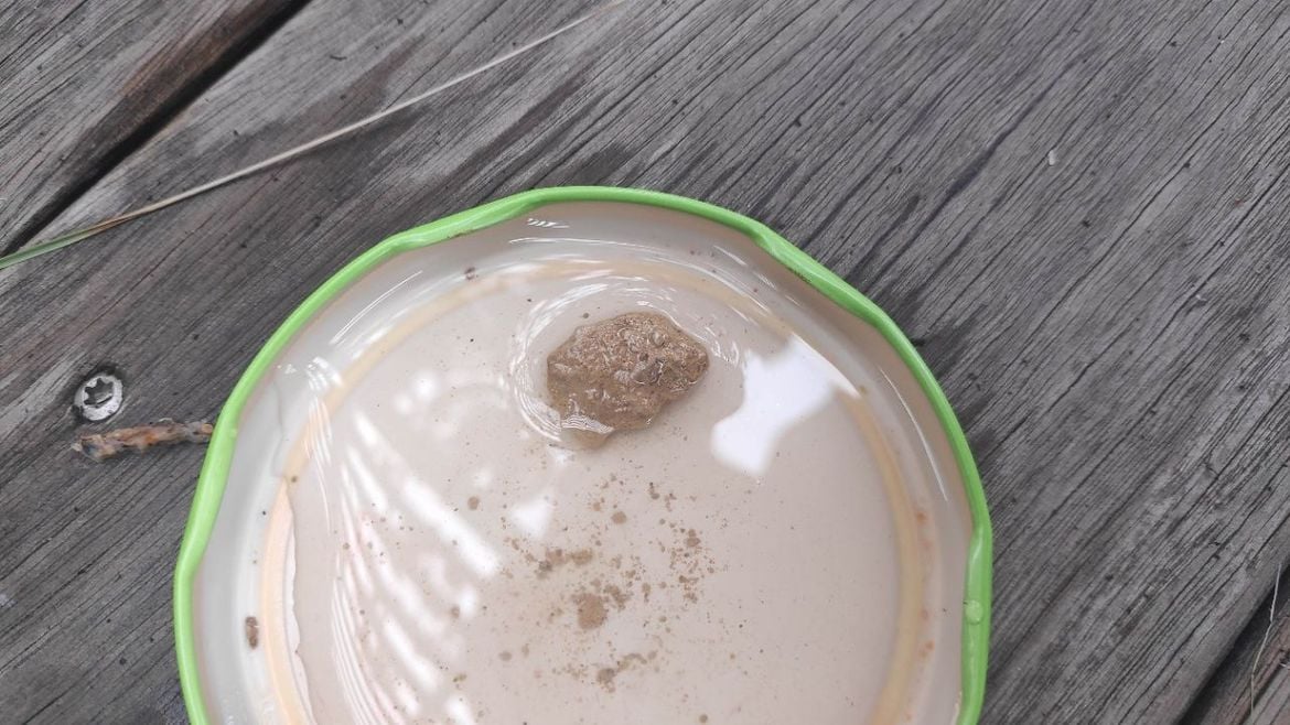 1714286222245-1 copy.jpg 1714286222245-1 copy.jpg