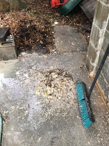 16 15-01-2024.jpg 16 15-01-2024.jpg