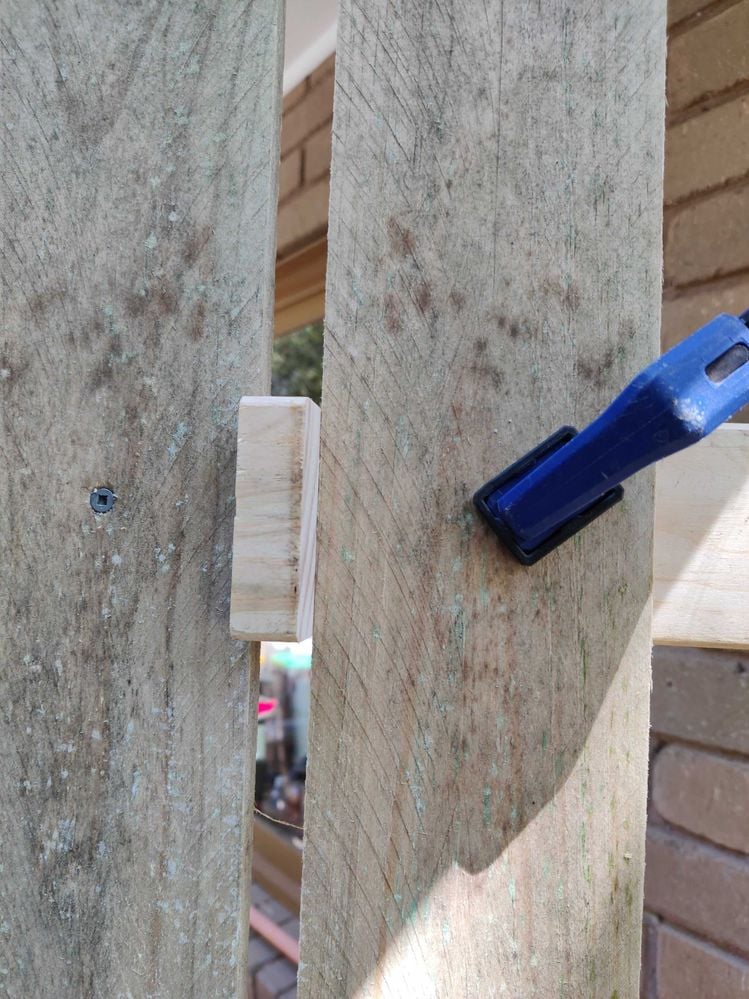 IMG_20220219_131048.jpg IMG_20220219_131048.jpg