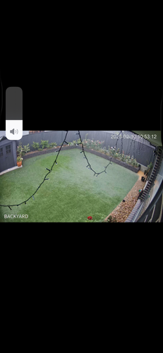 IMG_2596.png IMG_2596.png