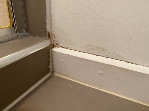 451492610_421346867596592_1844107065528649414_n.jpg 451492610_421346867596592_1844107065528649414_n.jpg