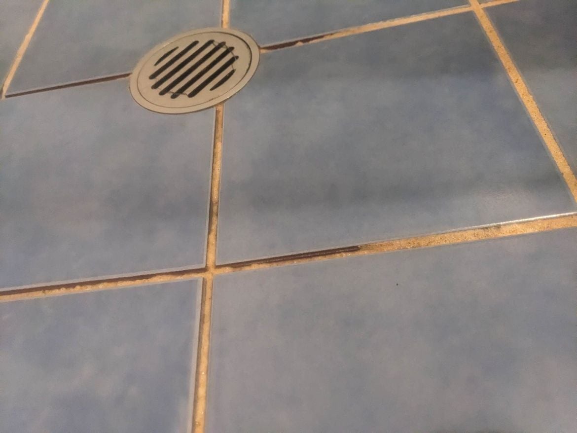 319232512_930255385026002_7076154573548063357_n.jpg 319232512_930255385026002_7076154573548063357_n.jpg