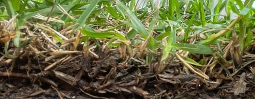 IMG_7943.jpeg IMG_7943.jpeg