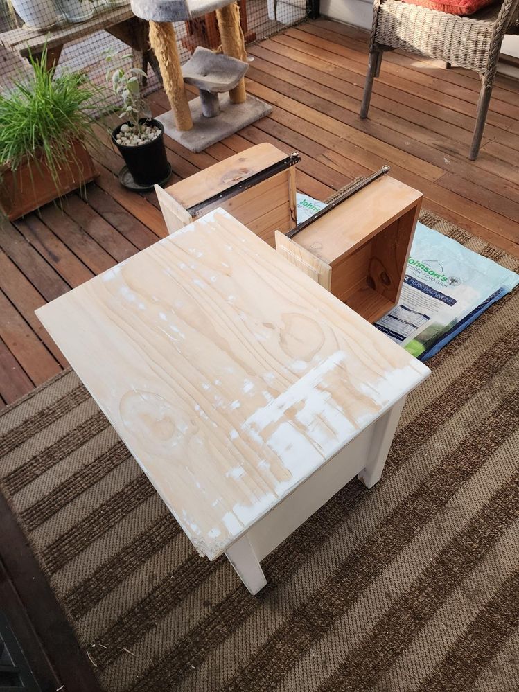 dogatethecabinet.jpg dogatethecabinet.jpg