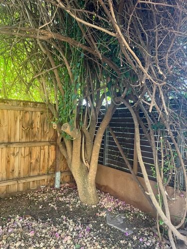 1E8F0F73-B50A-4139-85B3-F5B7799F92C4.jpeg 1E8F0F73-B50A-4139-85B3-F5B7799F92C4.jpeg