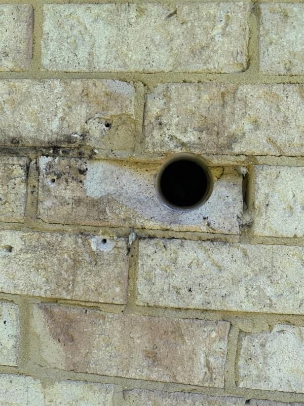 Image (3).jpeg Image (3).jpeg