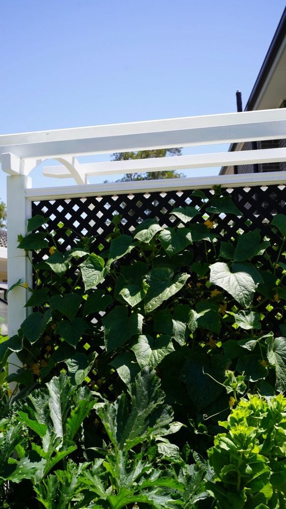 DSC08132.jpg DSC08132.jpg