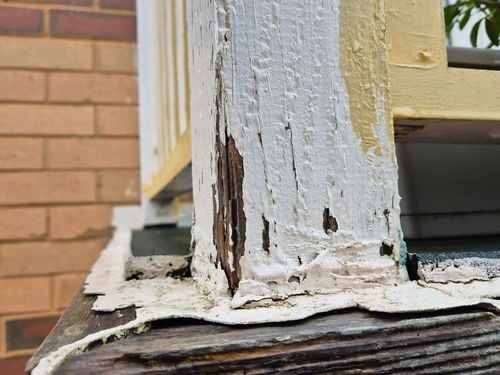 1000061965.jpg 1000061965.jpg