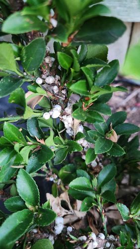 20260102_184747.jpg 20260102_184747.jpg