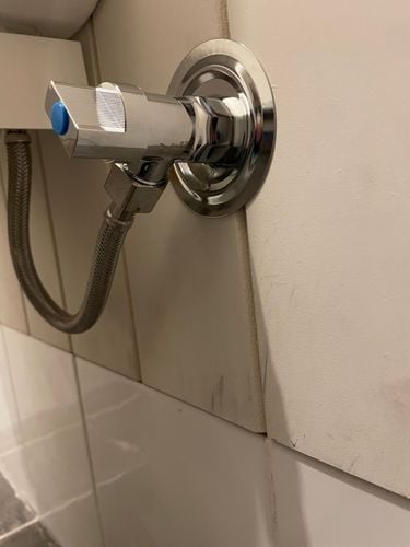 IMG_7550.jpeg IMG_7550.jpeg