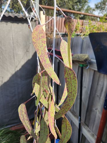 1000015153.jpg 1000015153.jpg