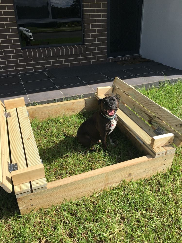 IMG_6769.JPG IMG_6769.JPG