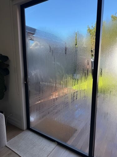 IMG_4471.jpeg IMG_4471.jpeg