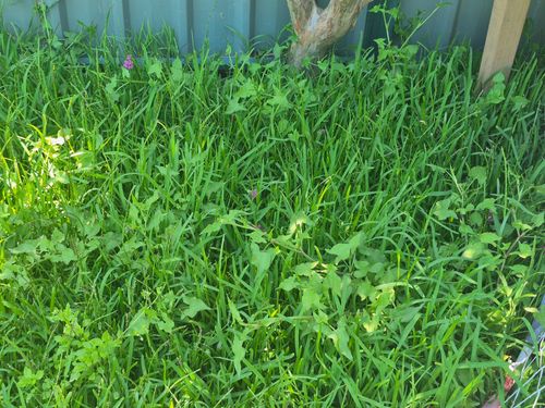 1000027214.jpg 1000027214.jpg