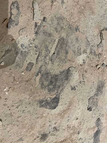 121FE86B-2026-4AEE-90E8-9C3B878051AF.jpeg 121FE86B-2026-4AEE-90E8-9C3B878051AF.jpeg