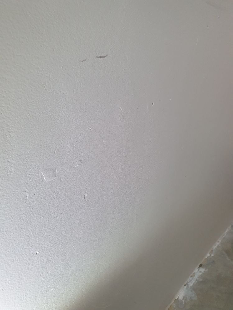 20240811_101721.jpg 20240811_101721.jpg