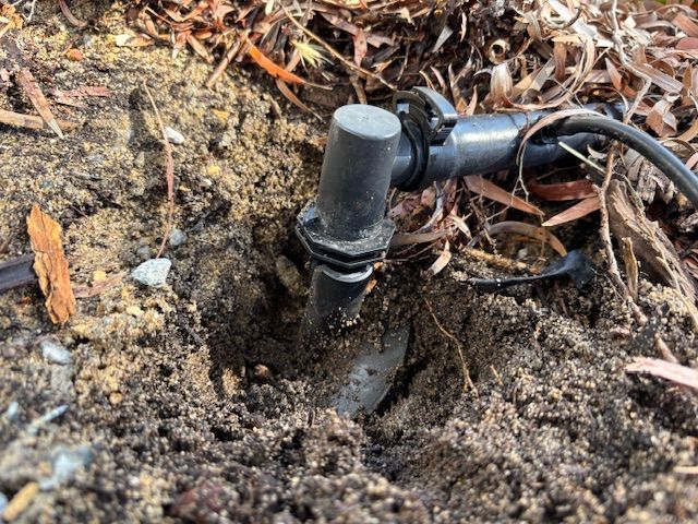 IMG_3899.jpg IMG_3899.jpg