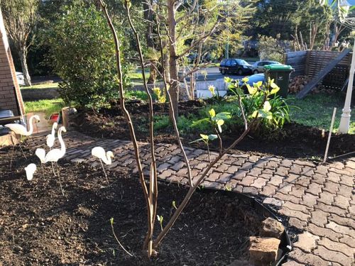 93 10-09-2022.jpg 93 10-09-2022.jpg