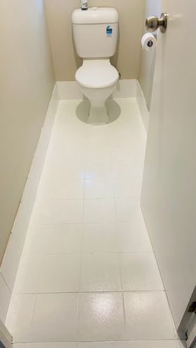 IMG_8287.jpeg IMG_8287.jpeg