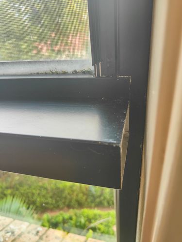 1000042122.jpg 1000042122.jpg