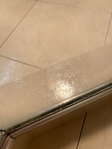 IMG_8316.jpeg IMG_8316.jpeg