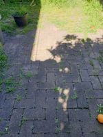 photo_2023-12-20_10-29-34.jpg photo_2023-12-20_10-29-34.jpg