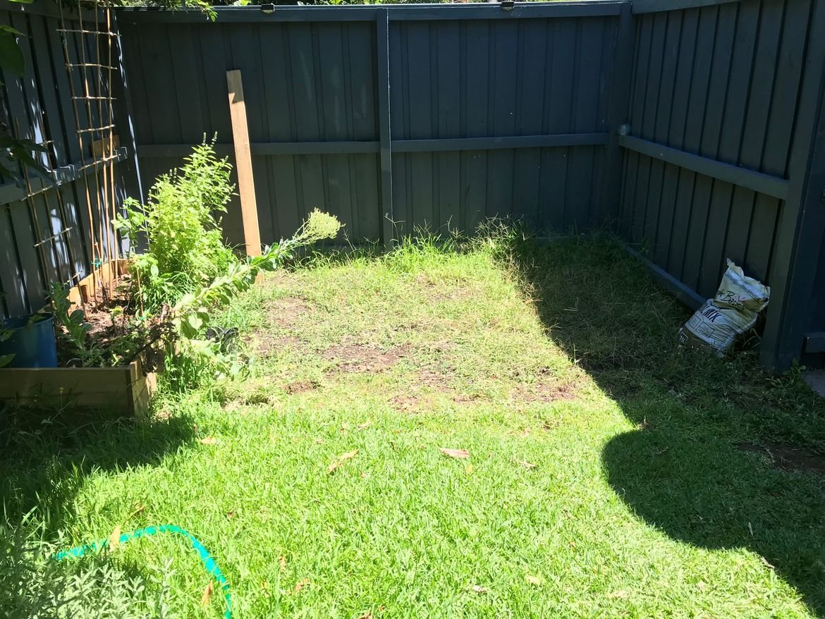 IMG_4403.jpg IMG_4403.jpg