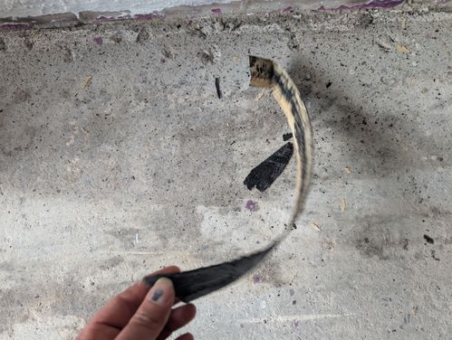 1000015794.jpg 1000015794.jpg