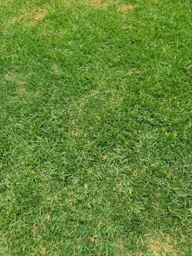 17678611197607499853802485598646.jpg 17678611197607499853802485598646.jpg