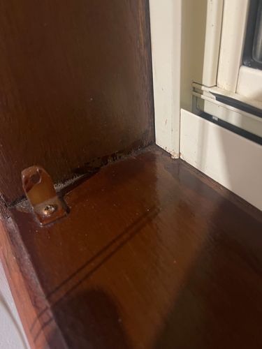 IMG_7462.jpeg IMG_7462.jpeg