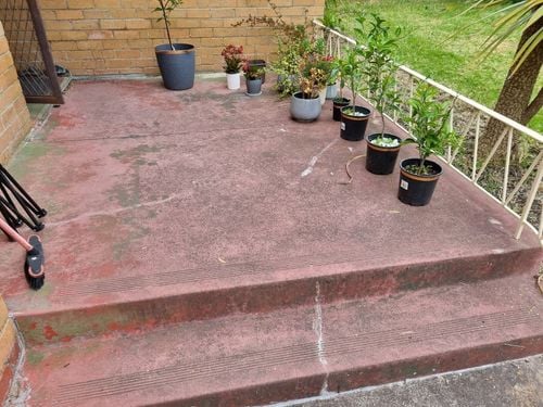 43409BCA-68A2-4D83-94CD-6F2A849928F3.jpeg 43409BCA-68A2-4D83-94CD-6F2A849928F3.jpeg