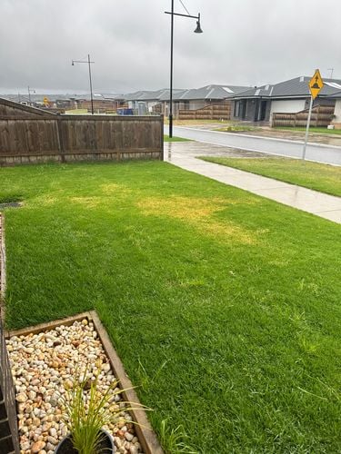 IMG_8004.jpeg IMG_8004.jpeg