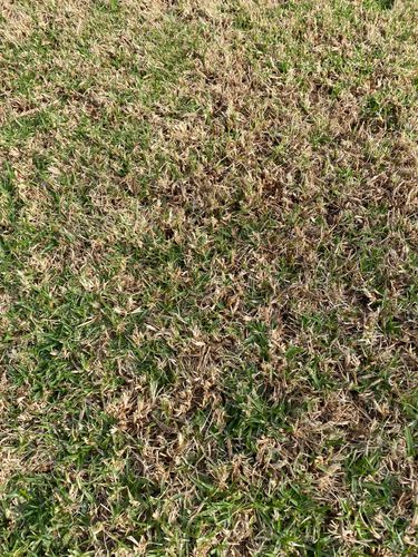 IMG_9270.jpeg IMG_9270.jpeg