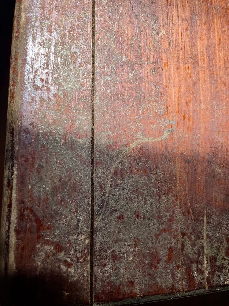 IMG_9238.jpg IMG_9238.jpg